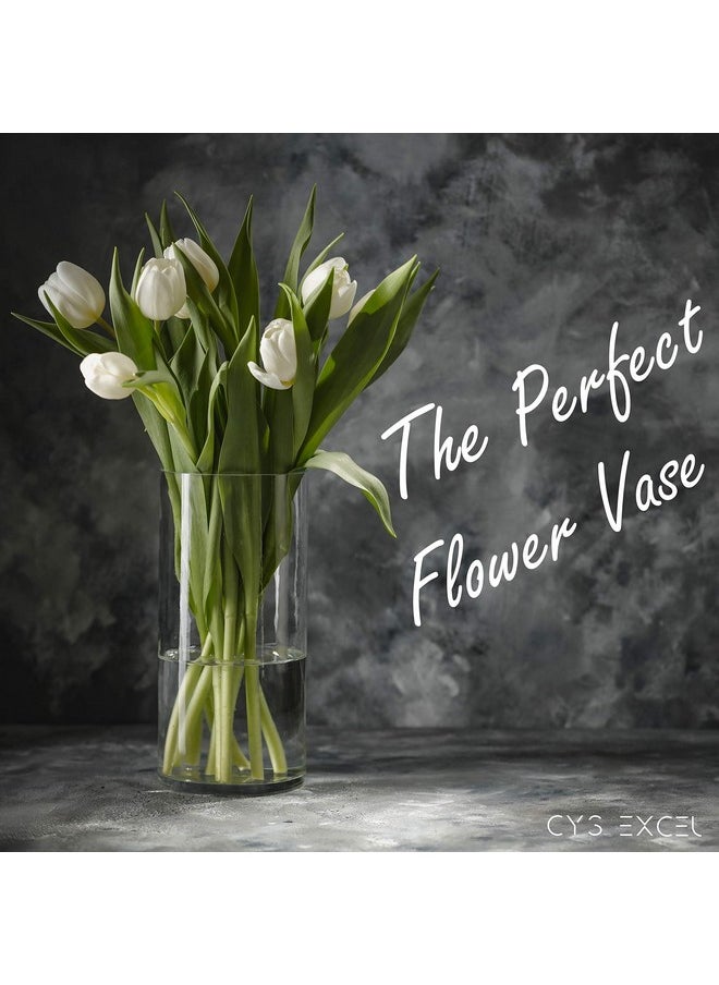 CYS Excel Clear Glass Cylinder Vase (H:9