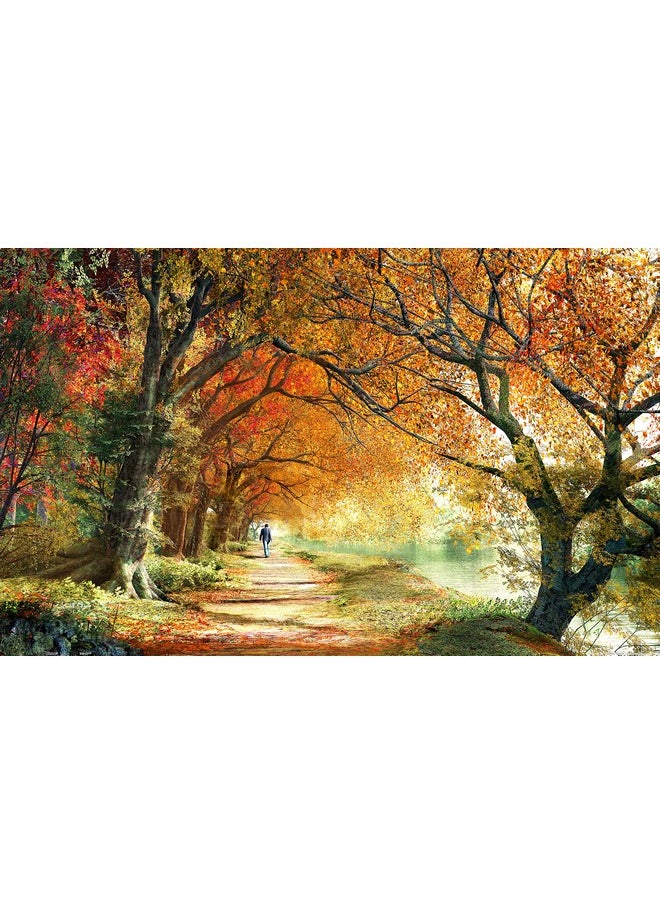 Pintoo Jigsaw Puzzles 1000 Piece for Adults - Dominic Davison - Forever Autumn Beautiful Plastic Puzzle for Home Decor Zero Dust Easy Storage [H2227]