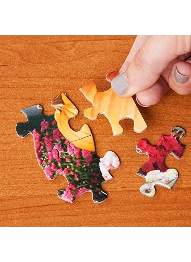 Bits and Pieces - Value Set of Two (2) 300 Piece Jigsaw Puzzles for Adults - Each Puzzle Measures 18