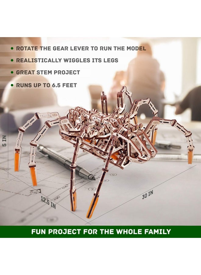 Wood Trick Mechanical Spider 3D Wooden Puzzle - Runs up to 7 feet - Wooden Model Kit for Adults and Kids to Build