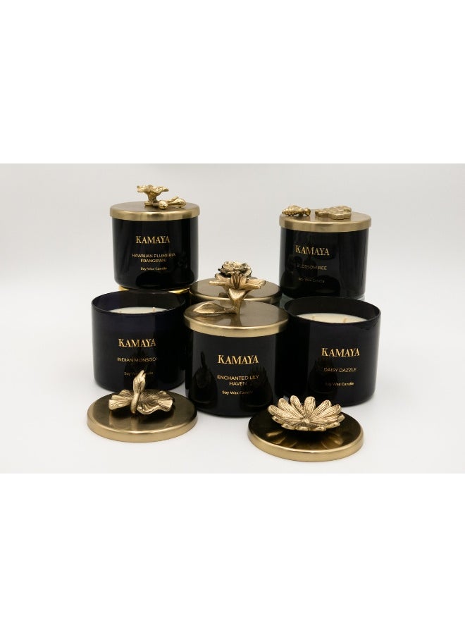 Fragrance - Hawaiian Plumeria Frangipani Secented candle 14 oz (400 gms) with gold lid with floral motif.