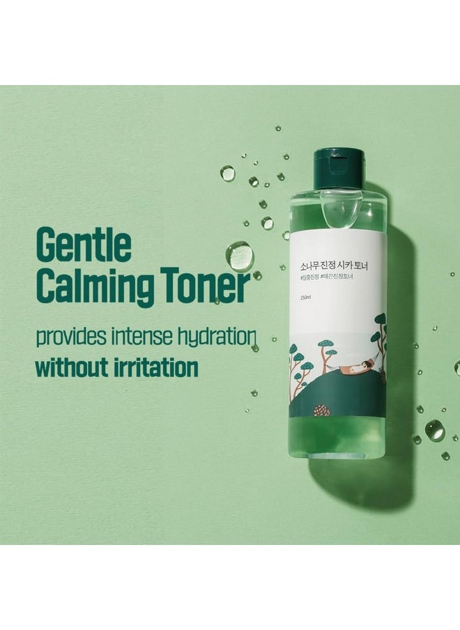 ROUND LAB Pine Tree Calming Cica Toner 8.45 Fl Oz, Face serum, Intesive calming for sensitive skin, Skin care and rejuvenate, Strong vitality with madecasocide