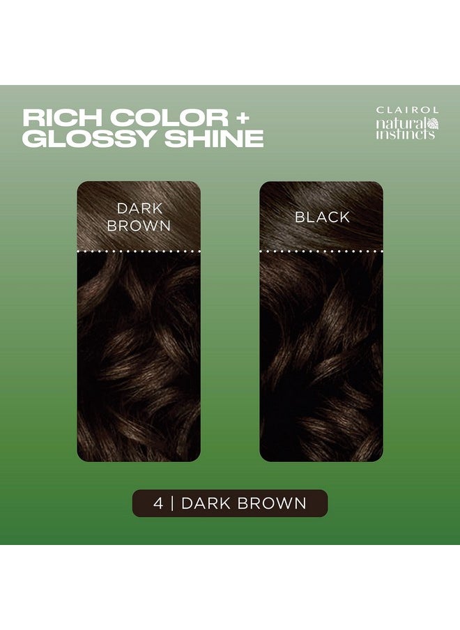 Clairol Natural Instincts Demi-Permanent Hair Dye, 4 Dark Brown Hair Color, Pack of 1
