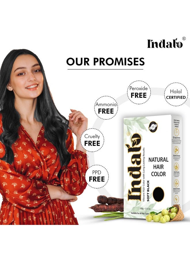 Indalo Natural Hair Color Soft Black | No Ammonia, No Paraben, No PPD, Soft Black Hair Color | Suitable for Men & Women (100g)