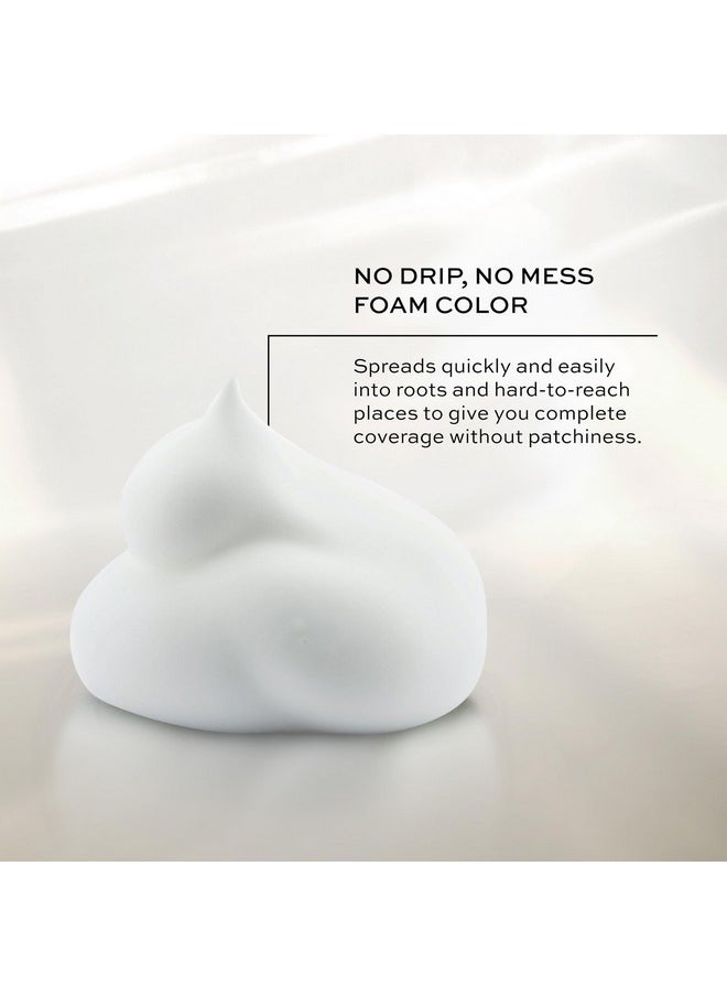 John Frieda Precision Foam Colour, Dark Natural Brown 4N