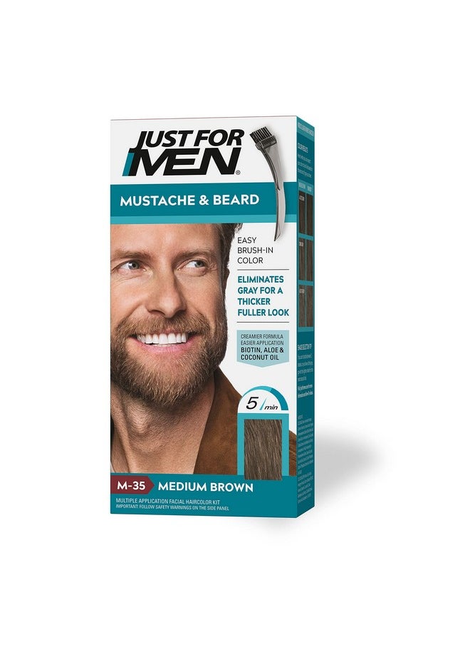Just For Men Mustache & Beard, Beard Dye for Men with Brush Included for Easy Application, With Biotin Aloe and Coconut Oil for Healthy Facial Hair - Medium Brown, M-35, Pack of 1