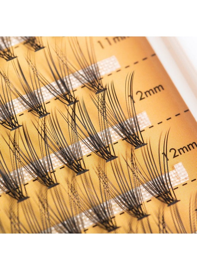 FinyDreamy 240pcs Individual Lashes Extension, 20D Volume Mix Pack Cluster Lashes, 8-12mm Mix Lengths C Curl 0.07mm Thickness Professional Makeup Individual Cluster Lashes and Apply Under your Lashes