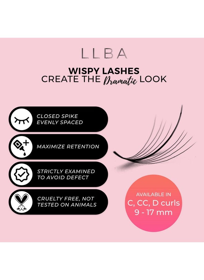 LLBA Promade Wispy Lash Extensions 9D 0.05, 100% Handmade Eyelashes Volume Fans, C Cc D Curls, 9-17 Mm Length, Long-Lasting, Easy Application (D 12 mm)