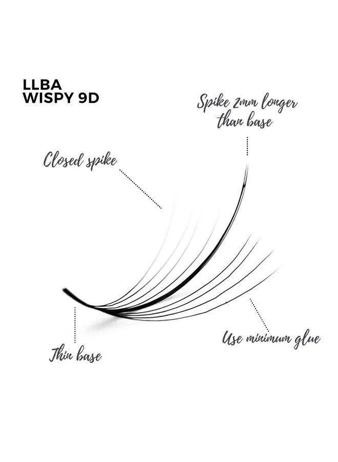LLBA Promade Wispy Lash Extensions 9D 0.05, 100% Handmade Eyelashes Volume Fans, C Cc D Curls, 9-17 Mm Length, Long-Lasting, Easy Application (D 12 mm)