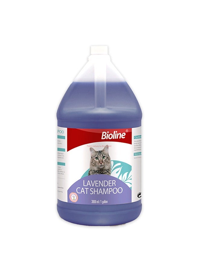 Lavender Cat Shampoo - 3.8L