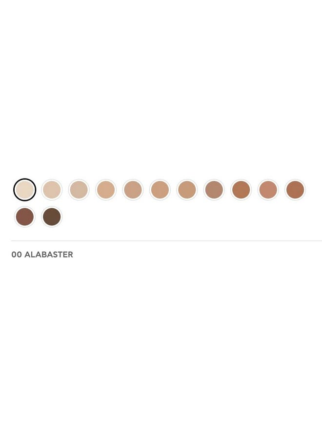 Radiant Professional Natural Fix All Day Matte Cream Foundation - Long Wear High Coverage Face Makeup Foundation With SPF 15 - Oil Free Matte Finish - For All Skin Types-1.01 oz. (00 Alabaster)