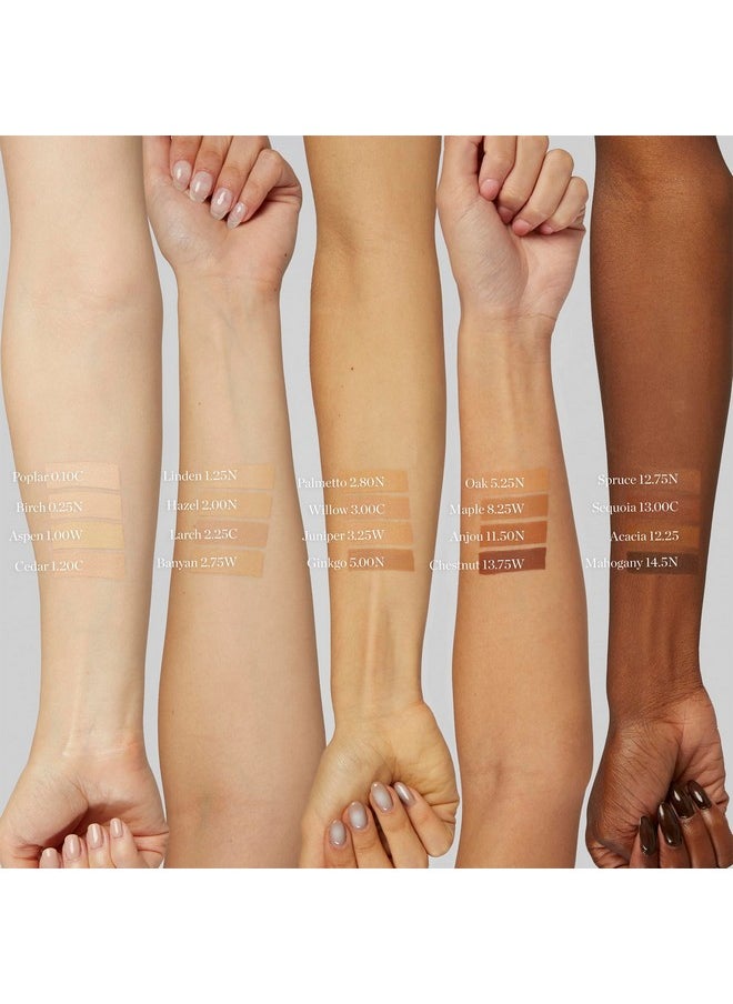 Ogee Sculpted Complexion Foundation Stick (Oak 5.5N - Medium Beige, Golden Undertones) Full Coverage Foundation Makeup - Instantly Balance & Even Complexion - 70% Organic Ingredients