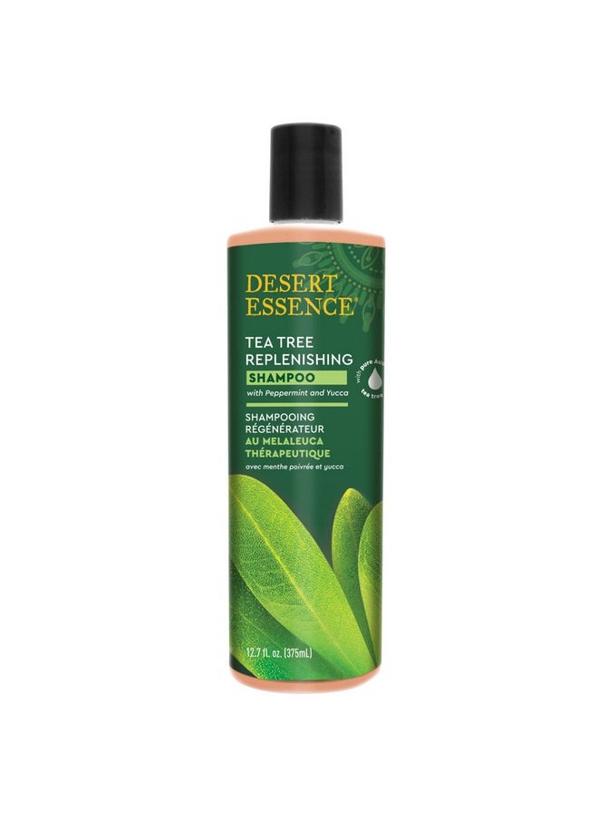 Desert Essence Tea Tree Oil Replenishing Shampoo, 12.7 fl oz, Gluten Free, Vegetarian, Non-GMO, Paraben Free - Moisture Replenishing Shampoo with Peppermint & Eucalyptus Oils to Deeply Cleanse Hair