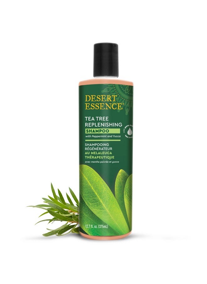 Desert Essence Tea Tree Oil Replenishing Shampoo, 12.7 fl oz, Gluten Free, Vegetarian, Non-GMO, Paraben Free - Moisture Replenishing Shampoo with Peppermint & Eucalyptus Oils to Deeply Cleanse Hair