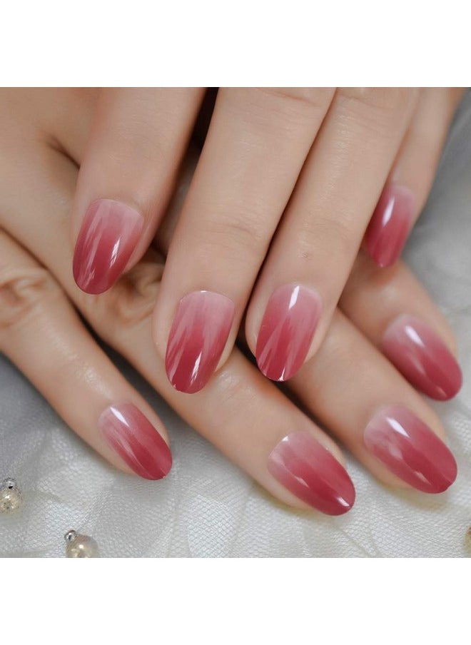 LightCoral Ombre Artificial False Nails Sleek Gel Acrylic Nail Oval Medium Color Tips with Gluetabs 24pcs