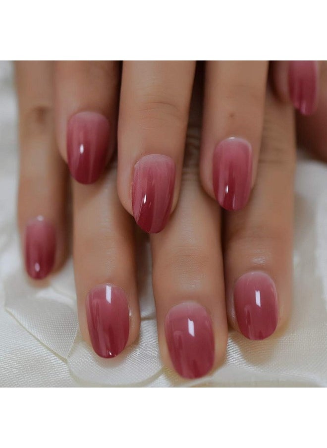 LightCoral Ombre Artificial False Nails Sleek Gel Acrylic Nail Oval Medium Color Tips with Gluetabs 24pcs