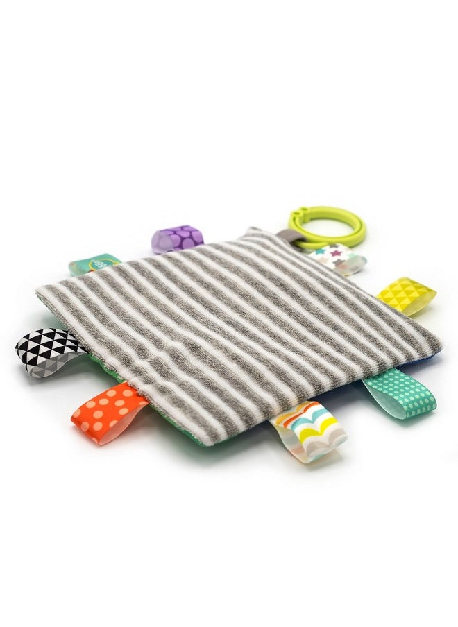 Taggies Soothing Sensory Crinkle Me Toy with Baby Paper and Squeaker, Harley Raccoon, 6.5 x 6.5-Inches