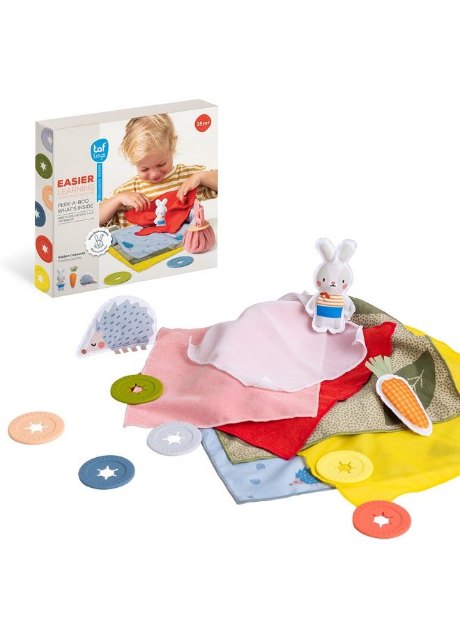Taf Toys Peek-a-Boo What's Inside? Sensory Toy for Babies 18 Months & up, Montessori Tissue Toy for Color Matching & Fine Motor Skills Development, Baby Toy with Hidden Activity Toys