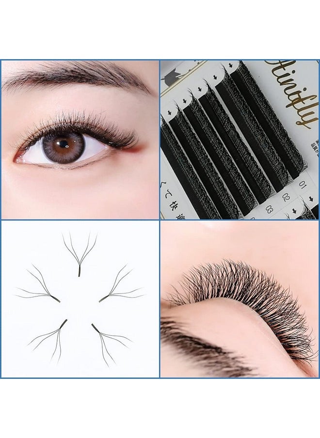 W Lashes 0.05Mm C/D Curl 4D Mink Eyelashes Black Natural Soft Eyelash 3D/4D Premade Volume Fans False Lash Yy Eyelash Extensions (W 0.05Mm D 11Mm)