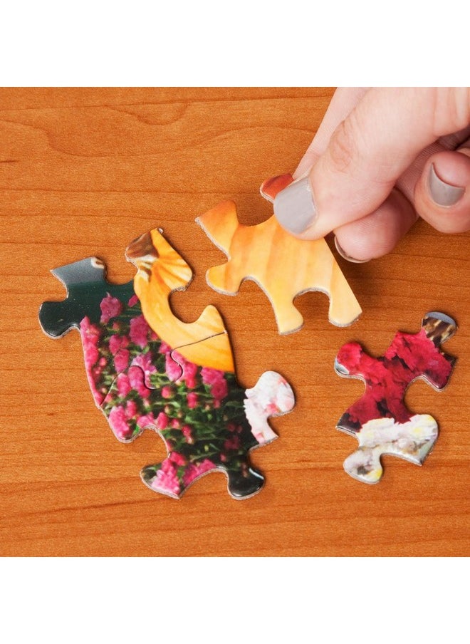 Bits and Pieces - Value Set of Three (3) 300 Piece Jigsaw Puzzles for Adults - Each Puzzle Measures 18