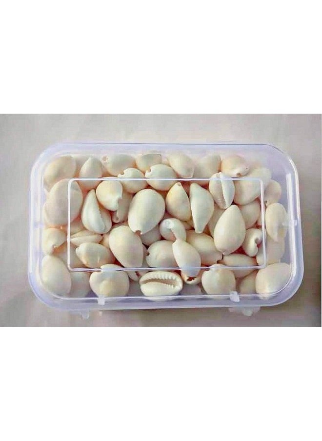 Jayam Traditional Wooden Pallankuli Set with Shells and Box,for-All Ages, All Ages, Yellow
