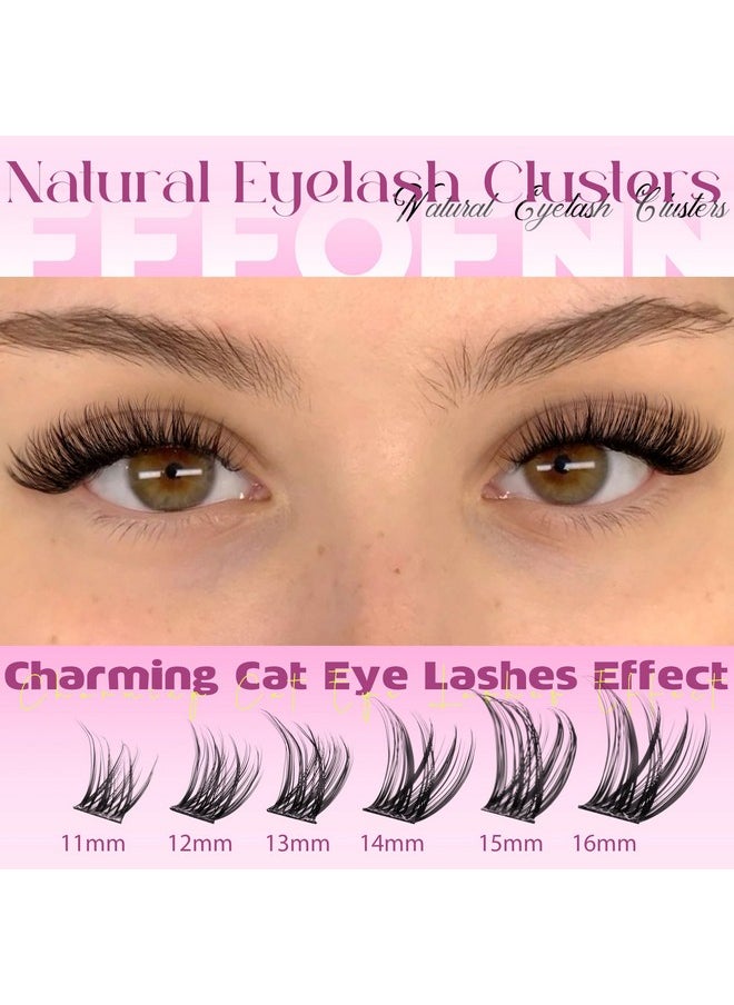 Wispy Lash Clusters Natural Eyelash Clusters C Curl Cluster Eyelash Extensions 11-16 mm Cluster Lashes Left Right Eyelash Extension Cat Eye Lashes Clusters DIY Individual Lashes by Eefofnn