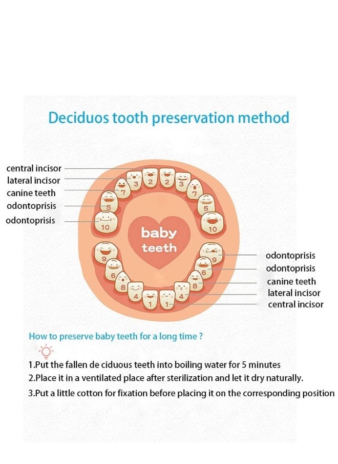 Tooth Box, Personality Wooden Kids Keepsake Organizer for Baby Teeth and Hair Photo, Shower  Birthday Gift, Storage Memory