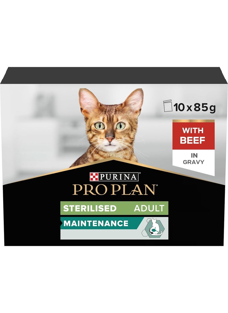 Purina Pro Plan Sterilised Wet Cat Food, Beef in Gravy 10 x 85g