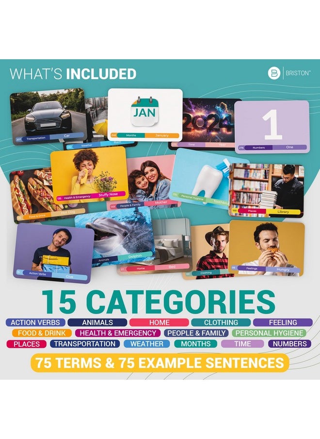 Briston Arabic Vocabulary 300 Flash Cards - Beginner Vocab with Pictures - Memory & Sight Words - Educational Language Learning - Game Like Play - Kids, Grade School, Classroom, Homeschool