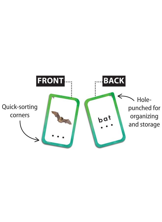 Teacher Created Resources Decoding CVC Words Flash Cards (EP62057), Medium