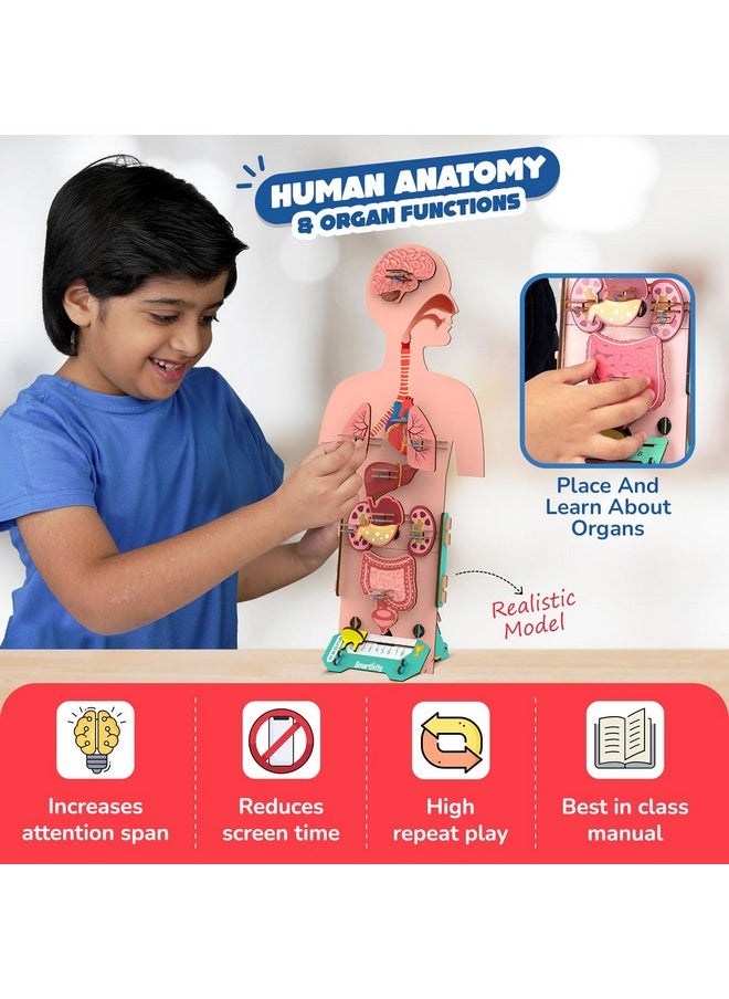 Smartivity Human Body Toy for Kids 6-12 Years | Body Organs & Functions | Birthday Gifts for Boys & Girls | DIY Science Toys for Kids 6,7,8,9,10,11,12,13,14 Years Old I STEM Wooden Construction Game