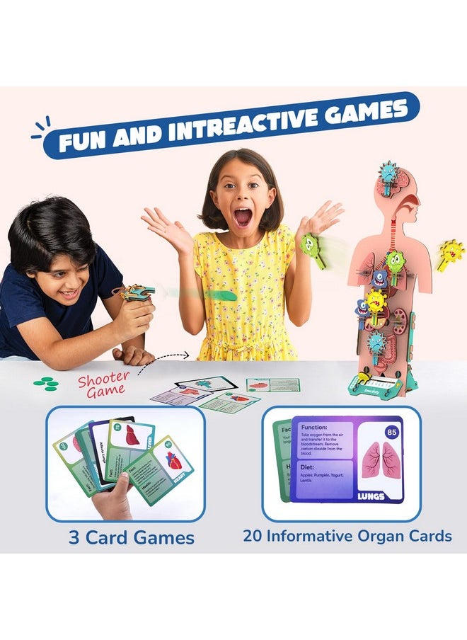 Smartivity Human Body Toy for Kids 6-12 Years | Body Organs & Functions | Birthday Gifts for Boys & Girls | DIY Science Toys for Kids 6,7,8,9,10,11,12,13,14 Years Old I STEM Wooden Construction Game