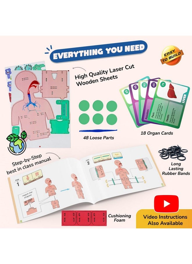 Smartivity Human Body Toy for Kids 6-12 Years | Body Organs & Functions | Birthday Gifts for Boys & Girls | DIY Science Toys for Kids 6,7,8,9,10,11,12,13,14 Years Old I STEM Wooden Construction Game
