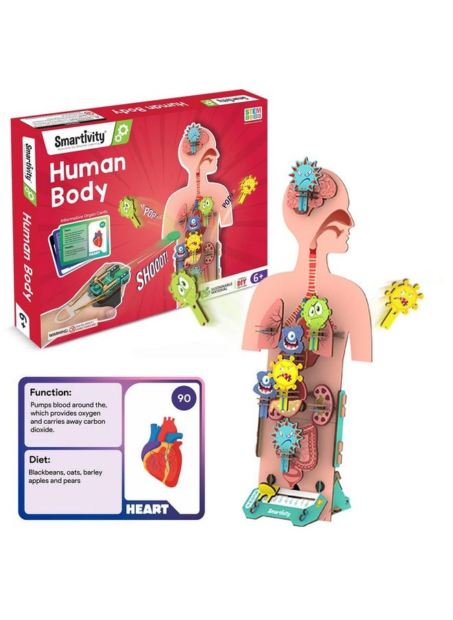 Smartivity Human Body Toy for Kids 6-12 Years | Body Organs & Functions | Birthday Gifts for Boys & Girls | DIY Science Toys for Kids 6,7,8,9,10,11,12,13,14 Years Old I STEM Wooden Construction Game