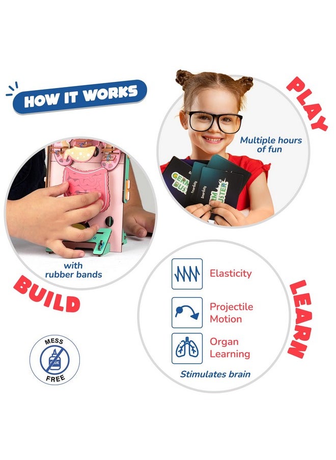 Smartivity Human Body Toy for Kids 6-12 Years | Body Organs & Functions | Birthday Gifts for Boys & Girls | DIY Science Toys for Kids 6,7,8,9,10,11,12,13,14 Years Old I STEM Wooden Construction Game