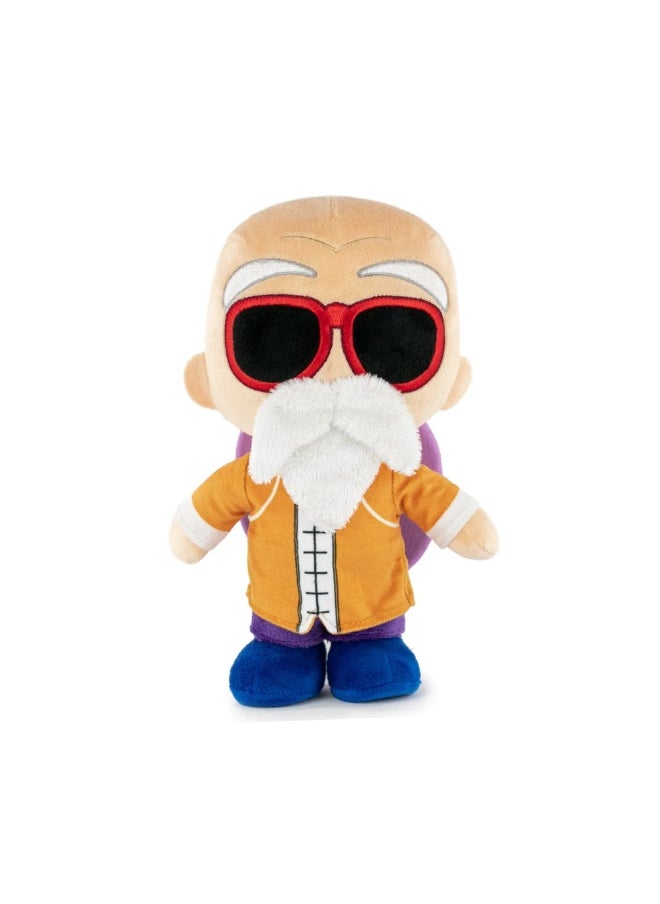 Dragon Ball Z Master Roshi 10