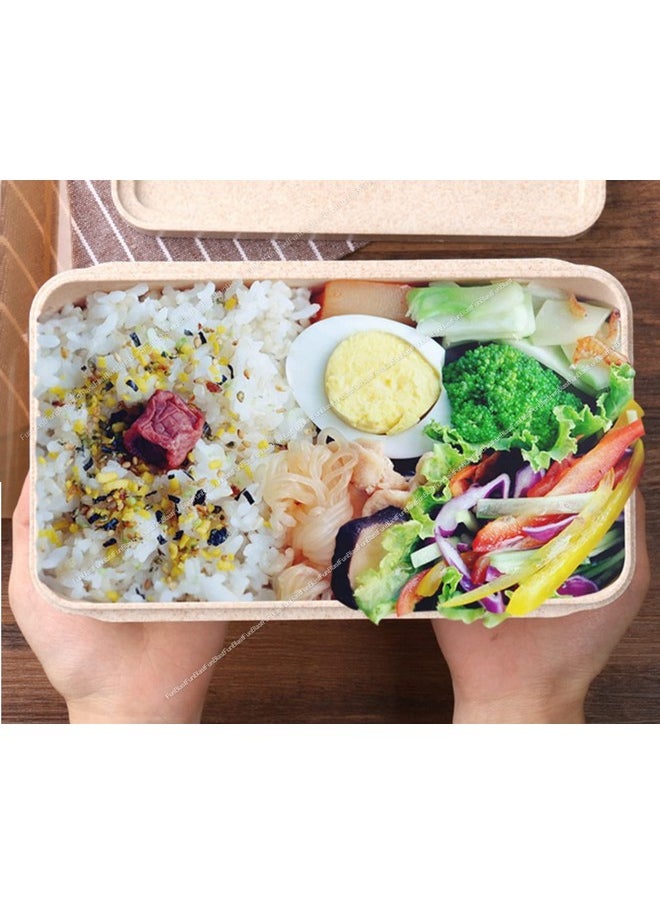 FunBlast Lunch BoXAnd Water Bottle With Lunch Bag-Wheat Straw Fiber Lunch Box/Tiffin Box, Lunch BoXFor Kids, Lunch Boxes For Office Men & Women, Lunch BoXWith Spoon And Chopsticks-1100 Ml, Multicolor