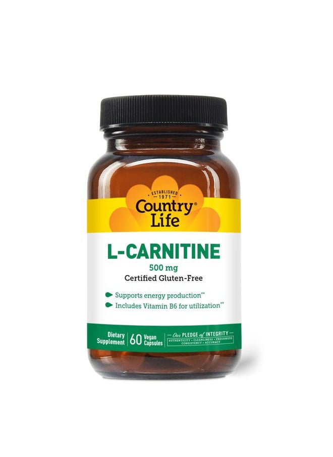 L-Carnitine 500mg – 60 Vegan Capsules | Supports Energy Production & Fat Metabolism | Includes Vitamin B6 for Utilization | Gluten-Free, Certified Vegan Amino Acid Supplement