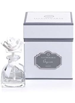 Zodax Illuminaria Mini Porcelain Room Diffuser Begonia