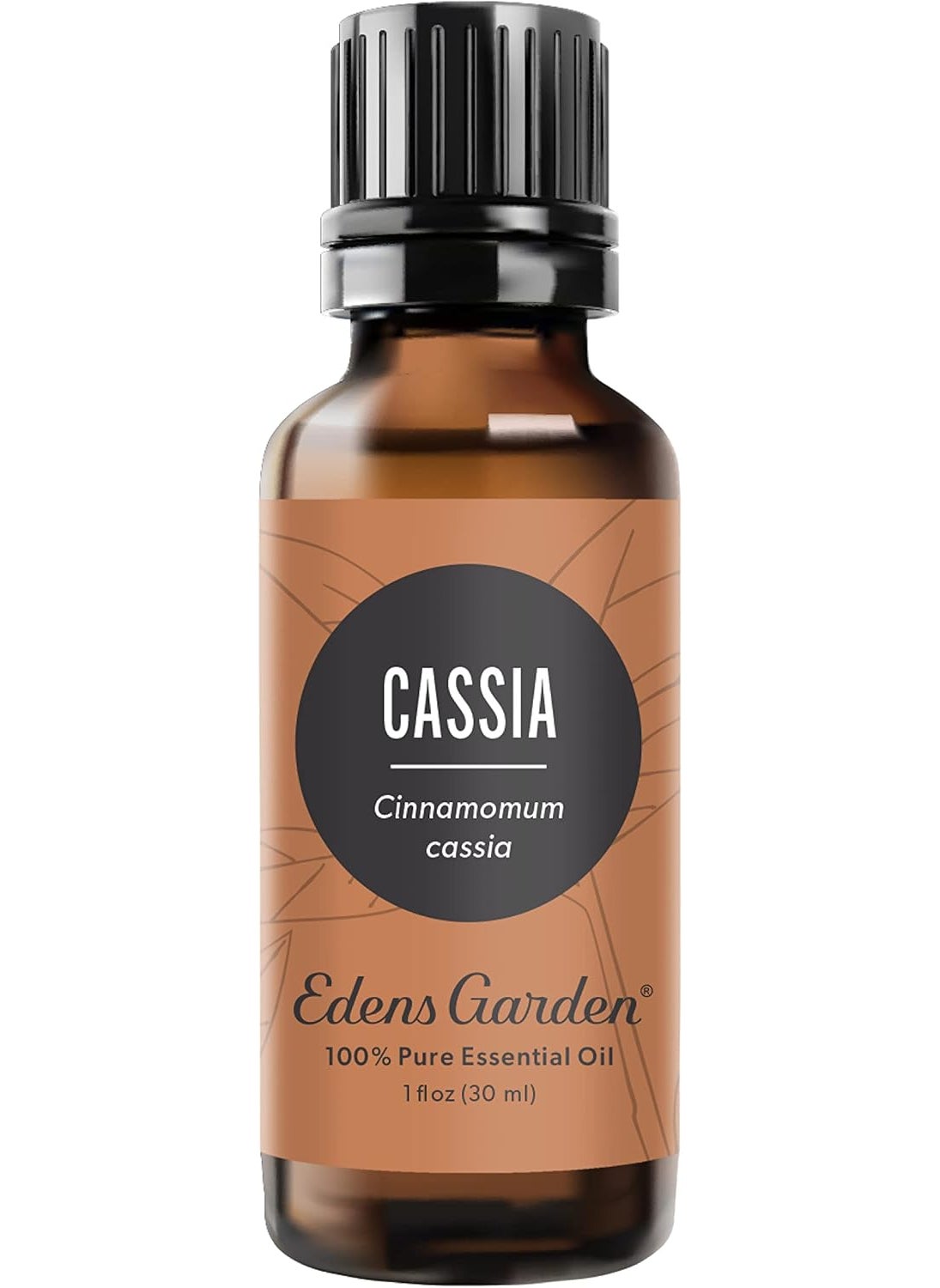 Edens Garden Cassia Essential Oil- 100% Pure Premium Grade, Undiluted, Natural, Therapeutic, Aromatherapy, The Best for Diffuser, Skin, Face, Kid Safe 30 ml (1 fl oz)