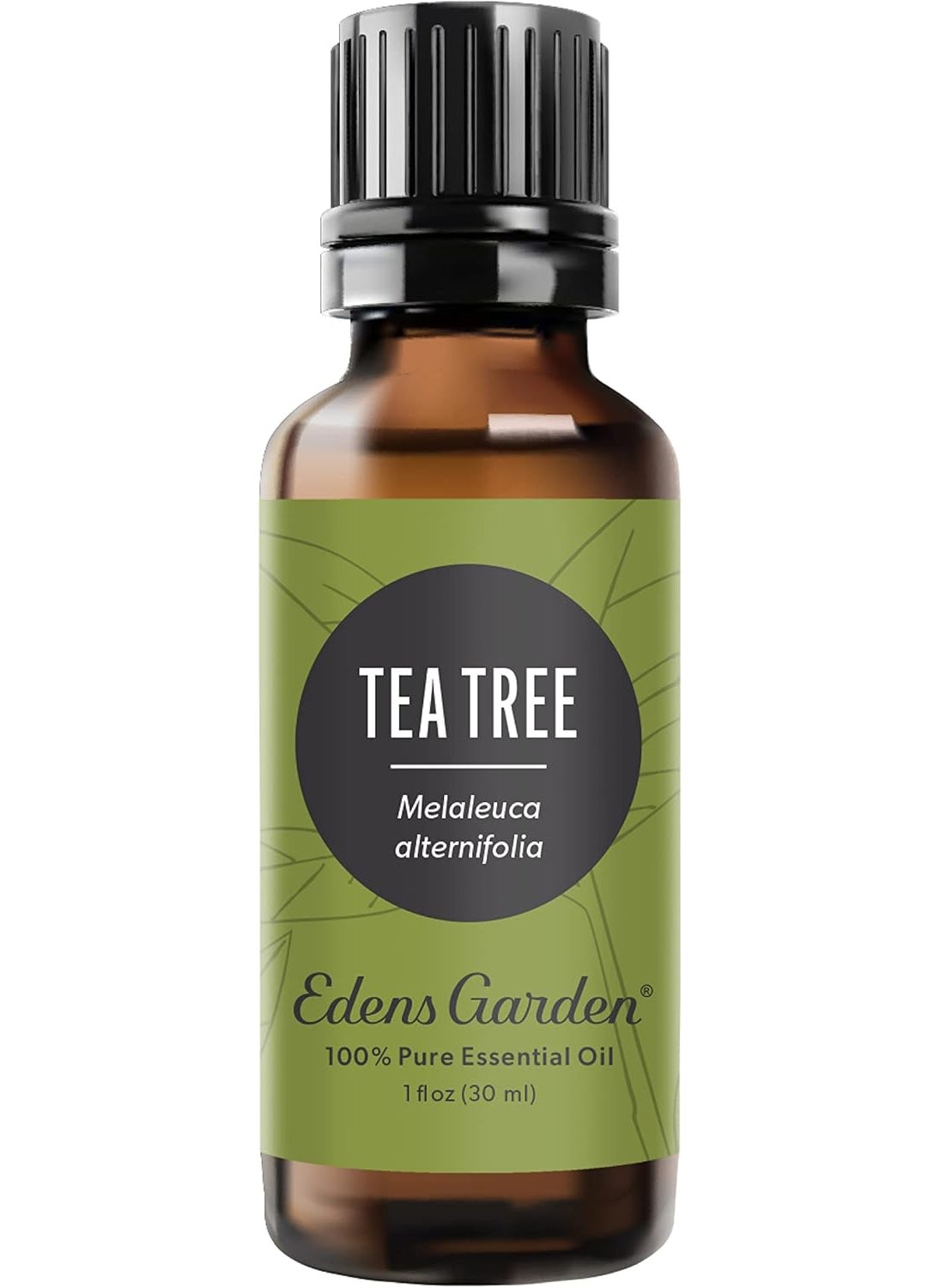 Edens Garden Tea Tree Essential Oil- 100% Pure Premium Grade, Undiluted, Natural, Therapeutic, Aromatherapy, The Best for Diffuser, Hair, Humidifiers, Kid Safe 30 ml (1 fl oz)