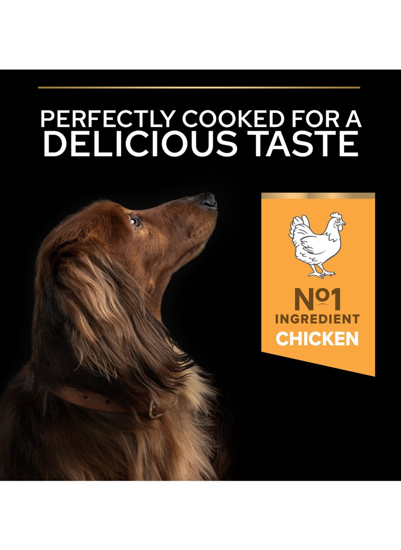 Everyday Nutrition Small and Mini Adult, Dry Dog Food with Chicken 7kg