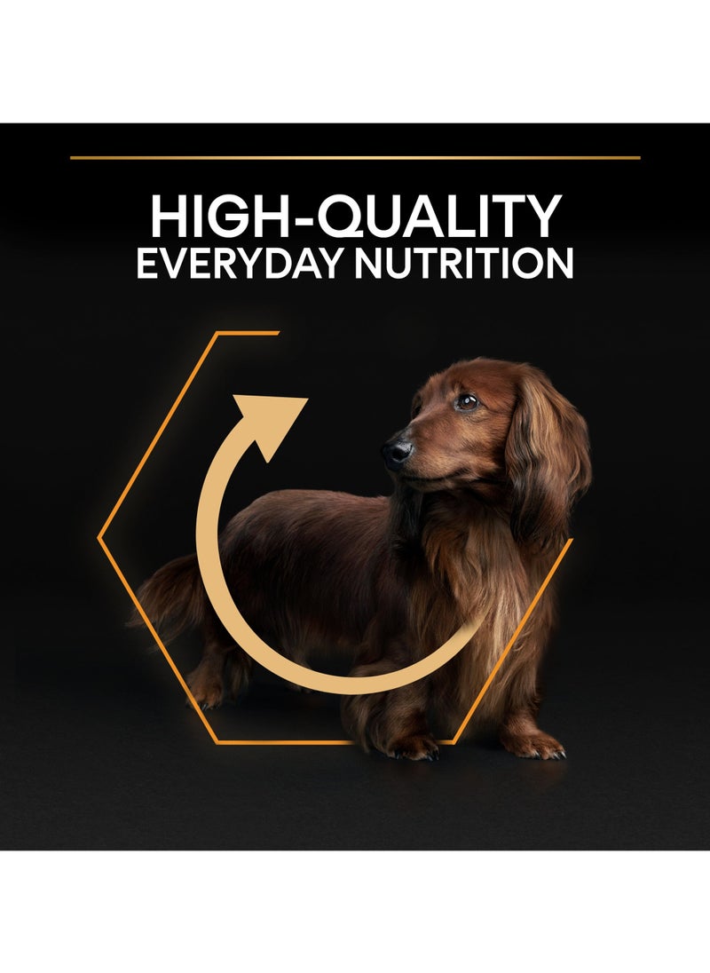 Everyday Nutrition Small and Mini Adult, Dry Dog Food with Chicken 7kg