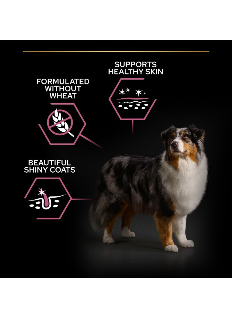 Sensitive Skin Medium and Large Senior 7+, Dry Dog Food with Salmon 3kg