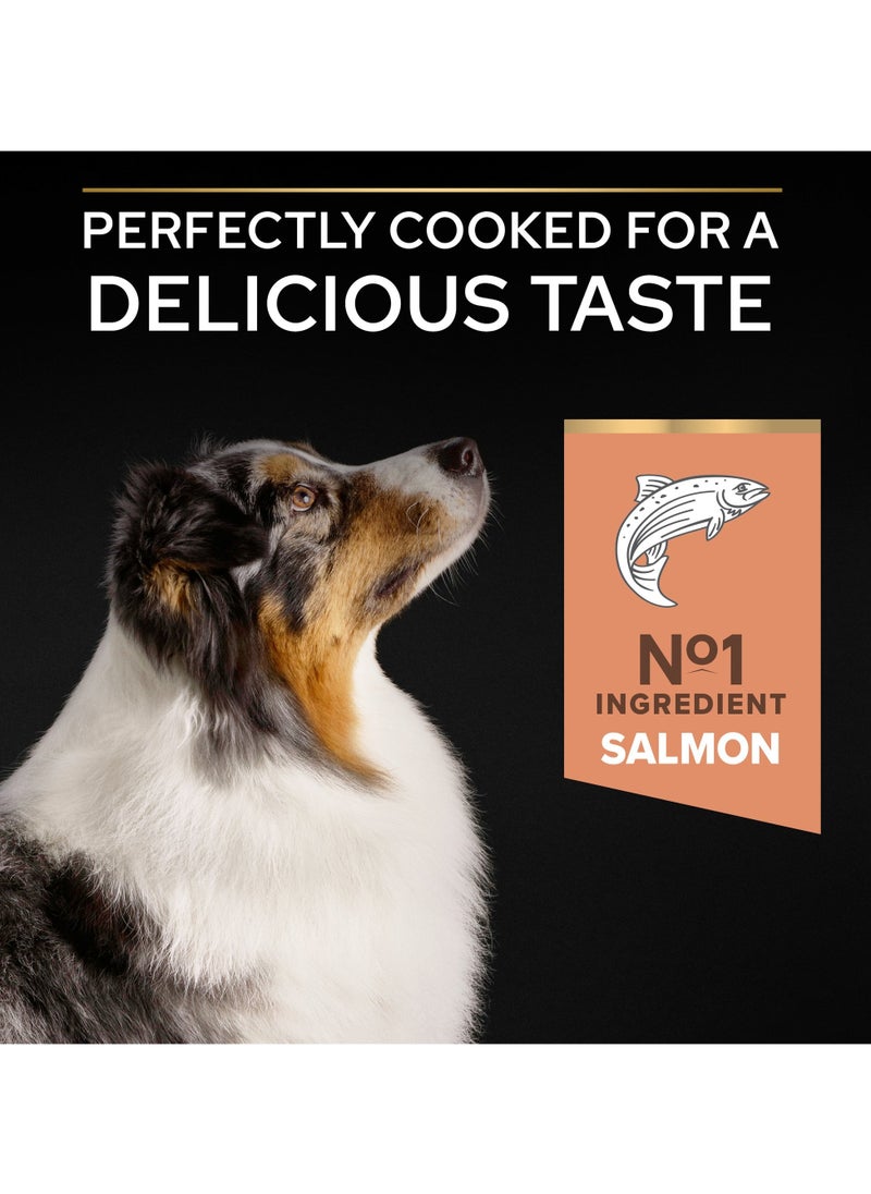 Sensitive Skin Medium and Large Senior 7+, Dry Dog Food with Salmon 3kg