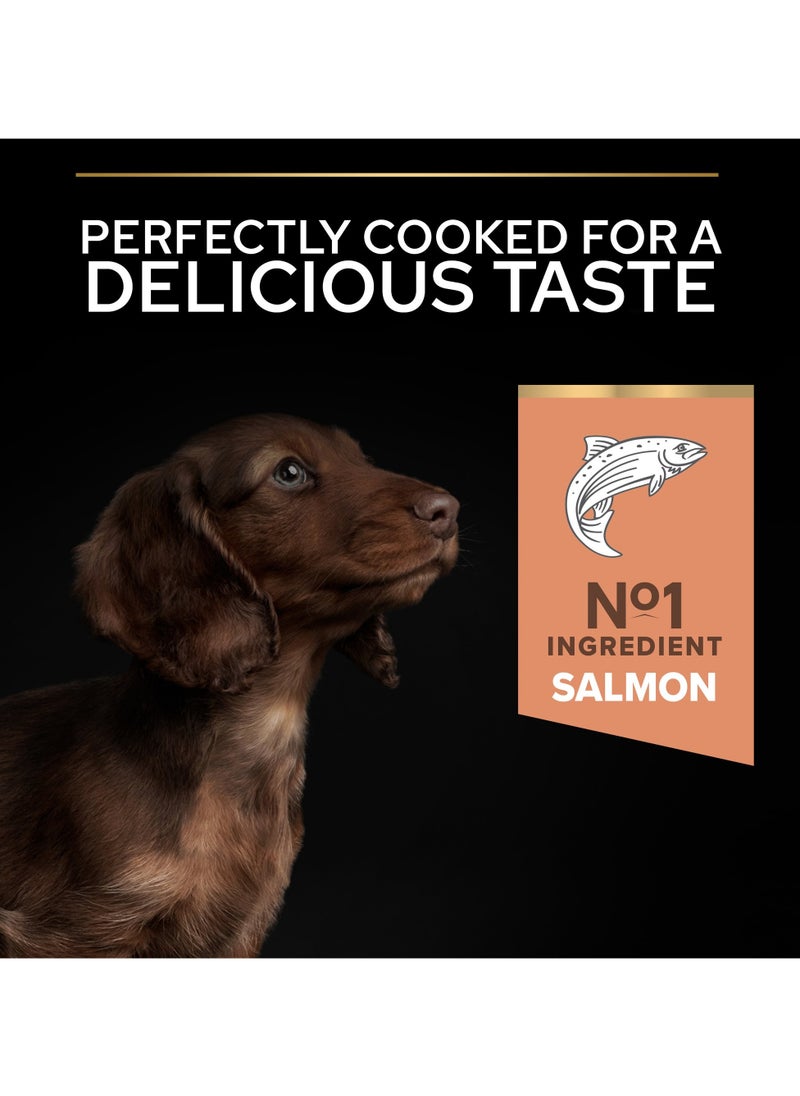 Small and Mini Puppy Sensitive Skin, Dry Dog Food with Salmon 3kg
