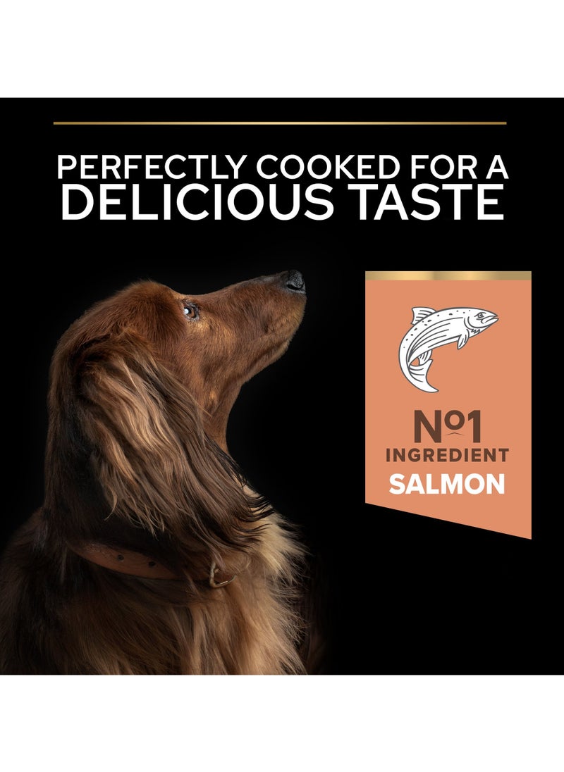 Sensitive Skin Small and Mini Adult, Dry Dog Food with Salmon 3kg