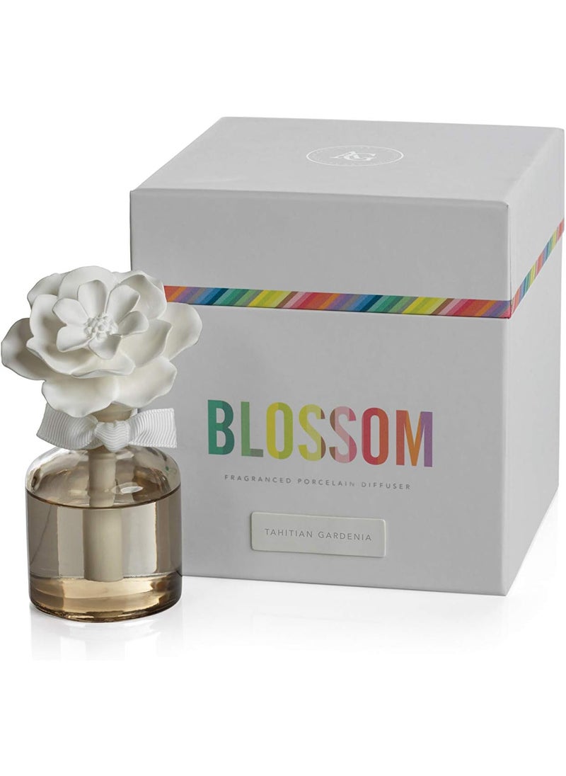 Zodax Blossom Fragrance Diffuser Bottle Taupe White Hibiscus