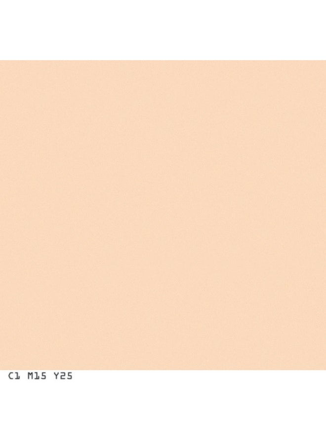 Covergirl Smoothers Pressed Powder, Translucent Light, 0.32 Oz, Pack of 2 (Packaging May Vary)