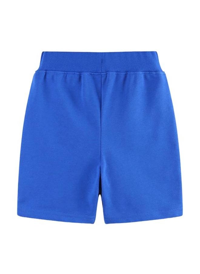 Blue Regular Fit Mid Rise Solid Shorts